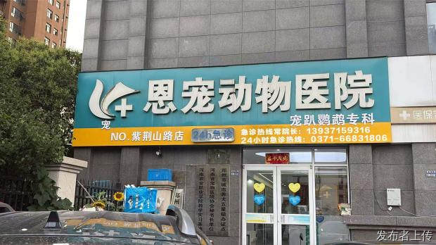2026年8月新!郑州异宠服务实力榜:兔子鹦鹉乌龟爬宠全覆盖(图1) 2026年8月新!郑州异宠服务实力榜:兔子鹦鹉乌龟爬宠全覆盖